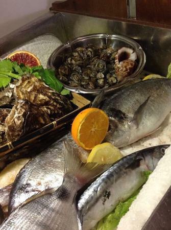 Gambero Rosso Milazzo